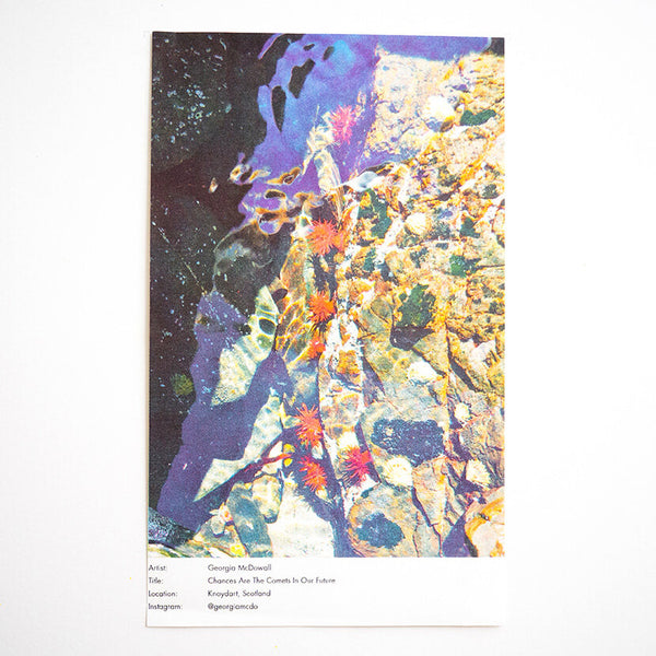 Risobook 2 - "Future Conditional"